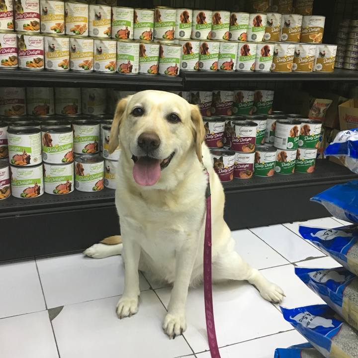 E8470a3f 6bc1 4473 aa2b bf9b2fd9acf3