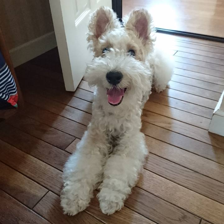 E8472760 4eed 45b3 9473 9f6c02fc584e