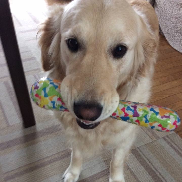 E847ca6c e375 4928 ae64 cd8da5e80061