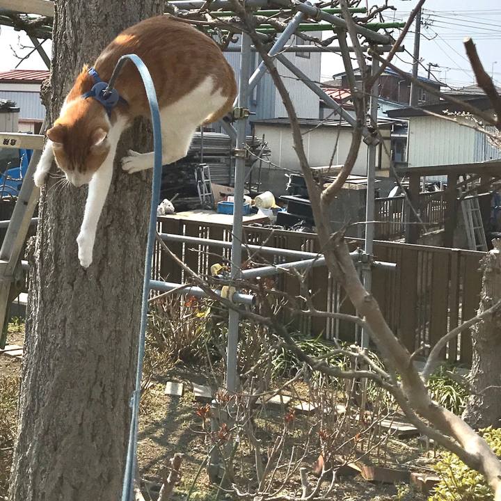 E847ca97 e366 408e 89e8 198b7ba0abfb