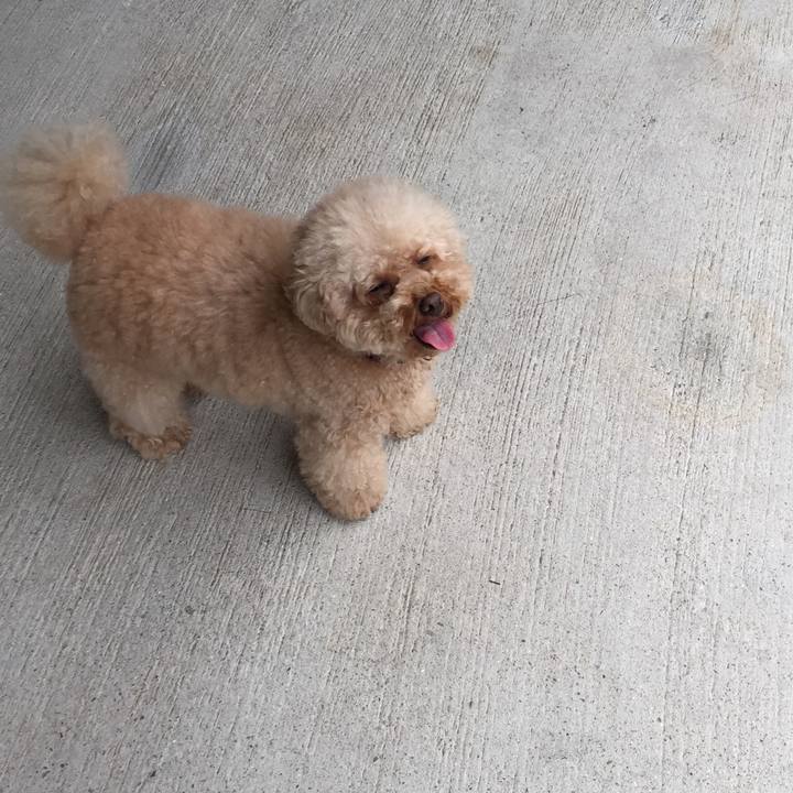 E8481b61 4c7d 4dc0 bb43 01f3312f10a8