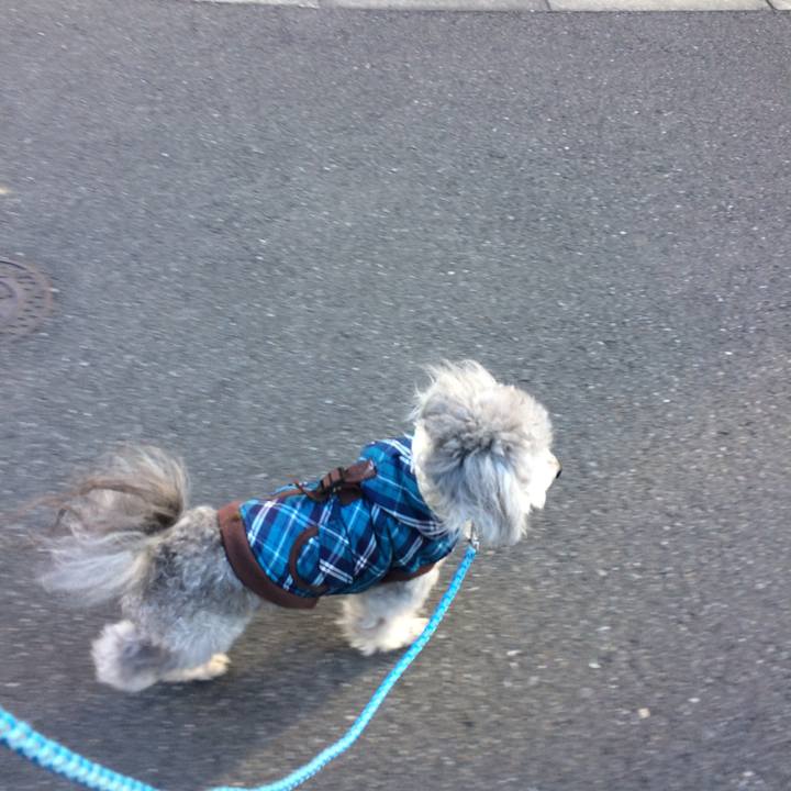 E8482d25 c61a 4bc1 8823 e245d3540613