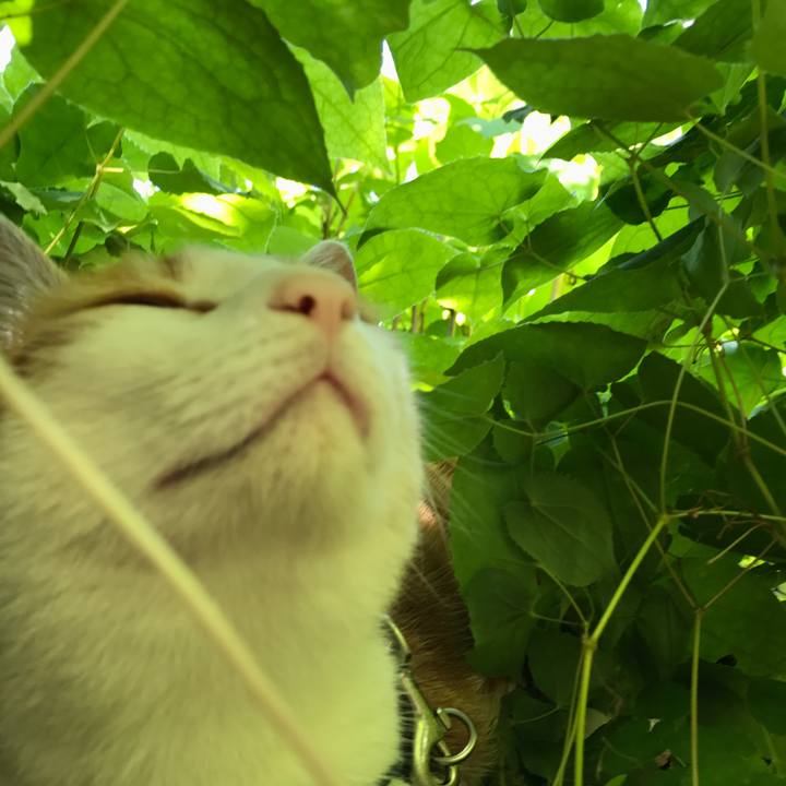 E8496384 43ee 4032 a602 67f723cc156c