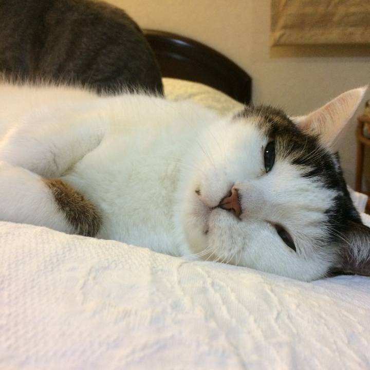 E849b058 412f 42ae a567 fc57a6cf8be4