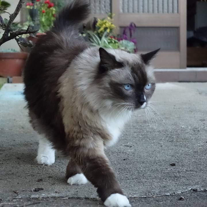 E849d63f cb4c 4257 a35e f1e5d53020c1