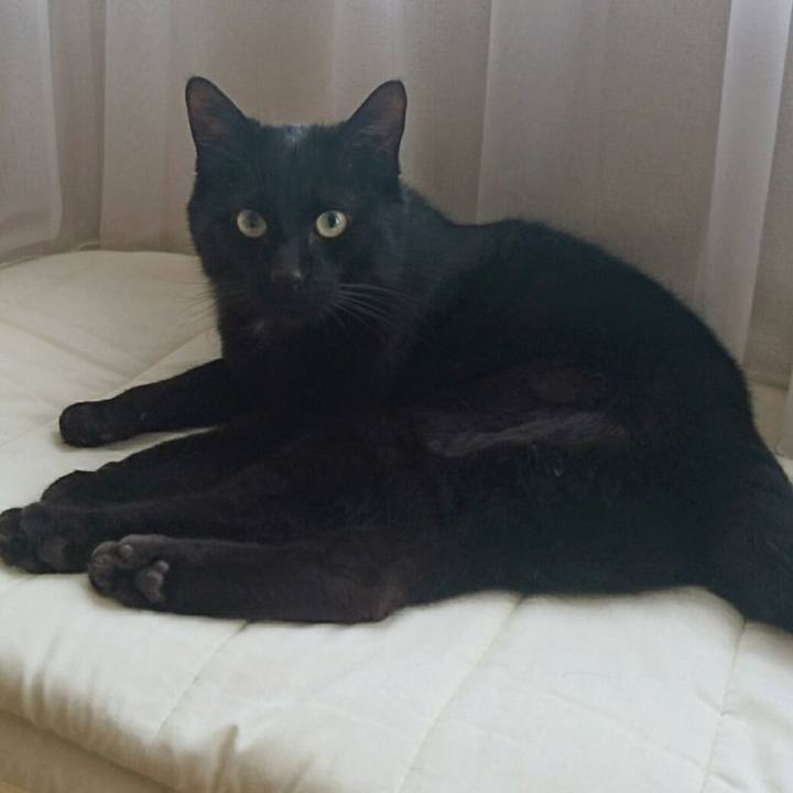 E849ec39 40b6 49ab 9f77 a436f4b68b72