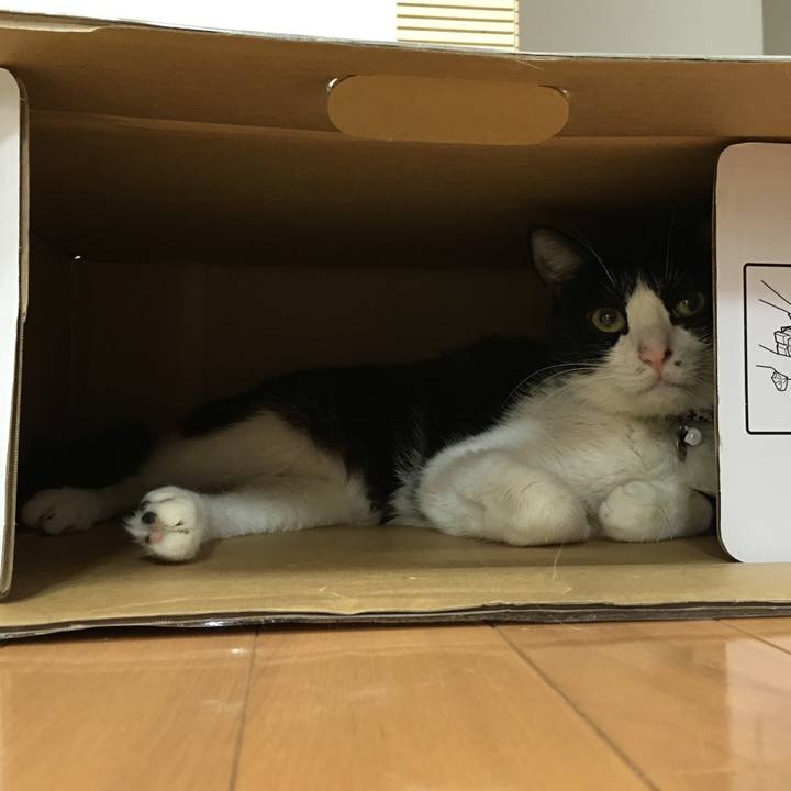 E849f66a 6f22 409d 957d 996b9f052d8c