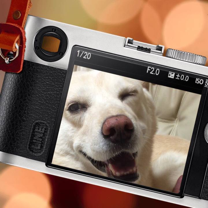 E84a3bb6 55d6 4296 92ae e7ced64b8157