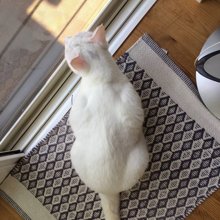 E84a733b 7c22 45db af90 0f55f5a4e72d