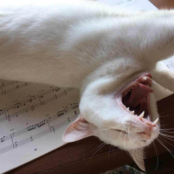 E84ab44c 552e 46c4 ba88 b42c2f70cdeb