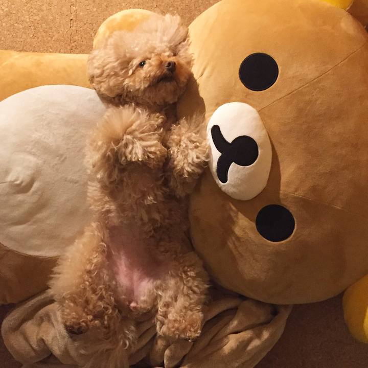 E84af092 211f 4218 b6a3 9d899658ccad