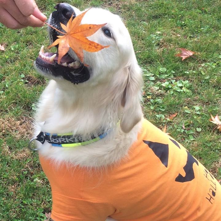 E84c2a19 e4ad 4ad3 82e4 2893a9a19b7f