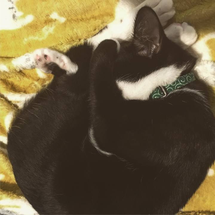 E84c3701 34d5 4da7 98dd ffd1012d5b55