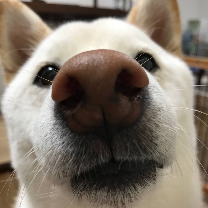 E84c9b03 6df3 4a58 8498 5a36f470efe7