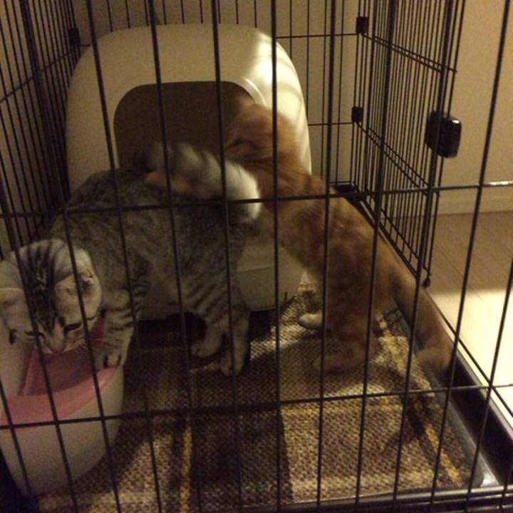 E84caa6e 8fbb 4d14 a1d3 4c26f9845875