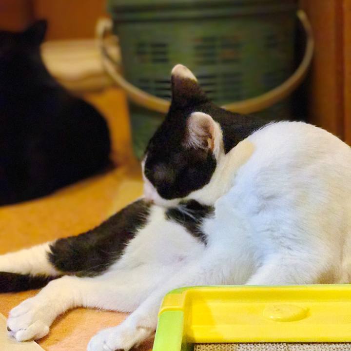 E84cfa69 5bf9 4fdb 8967 aa612e49ca70