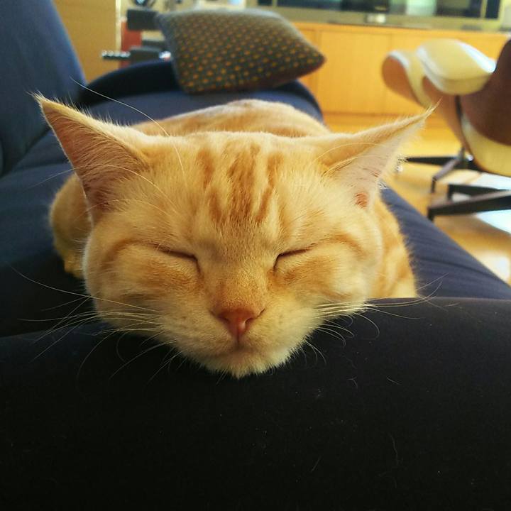 E84e31e2 7cb8 4bd0 a578 37fd80596991