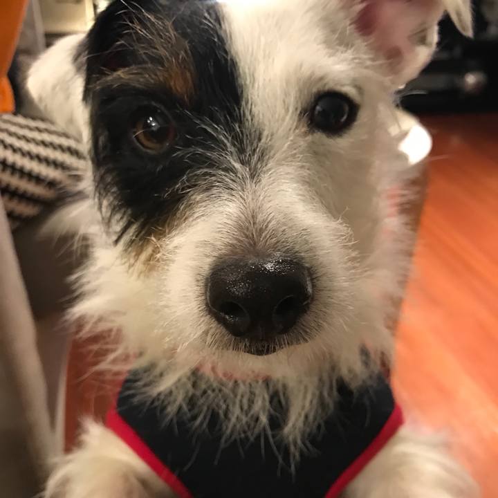 E84e3d6d dd8d 42af a330 11a14f887791