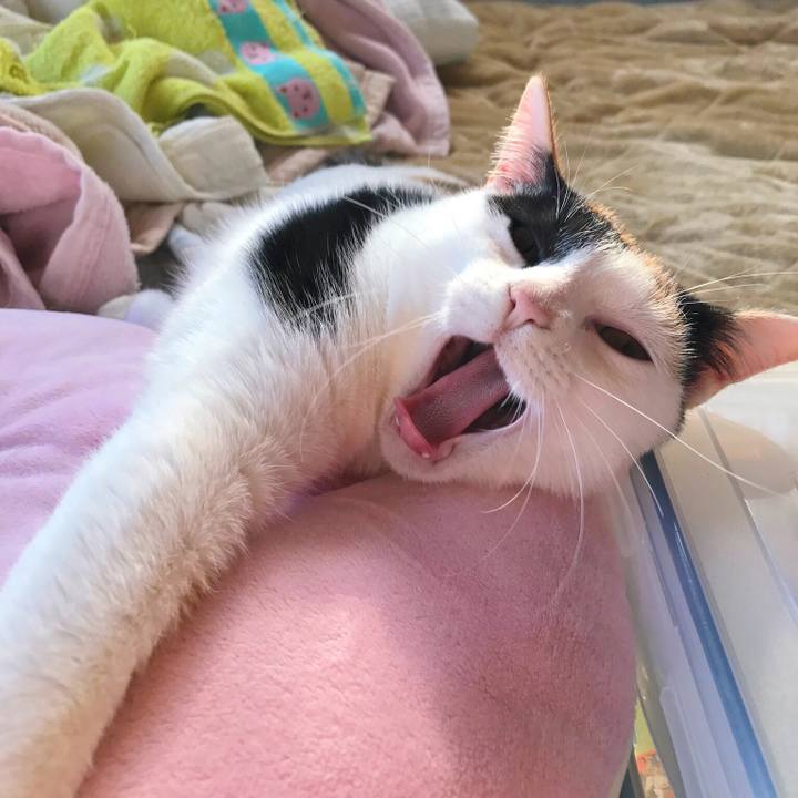 E84e45a9 6280 4d39 ab09 72e1b164d716