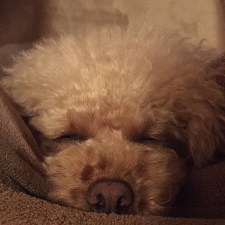 E84e942f 1f3a 426b 8640 fb898263e730