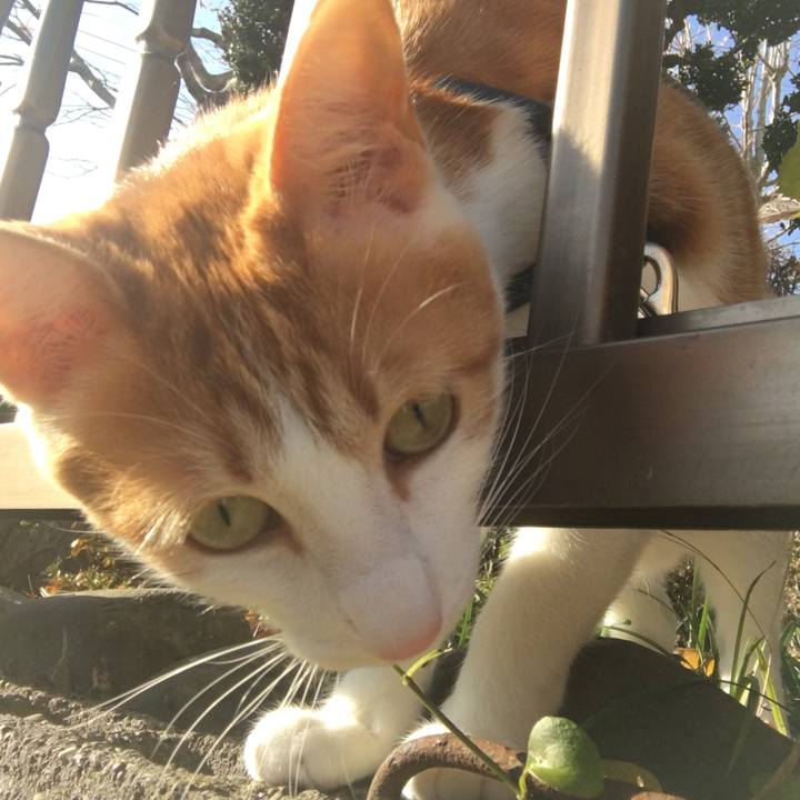 E84eaad6 65c6 4807 afab abfb663d07e1