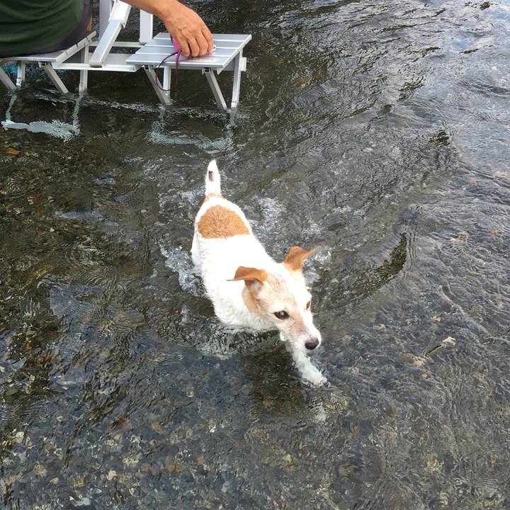 E84eddd8 eb33 458e b259 1e1f64d6ff6d