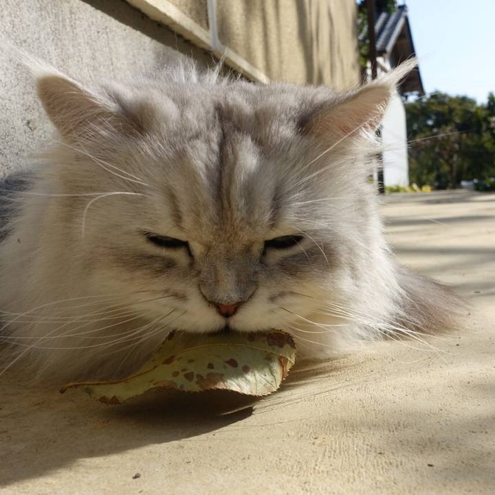 E84f27e9 31e3 4fa7 b895 c795cd0c4031