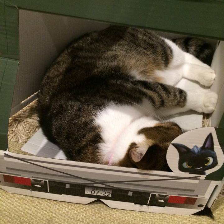 E8504be6 82a2 49dd 8c32 b99095c84494