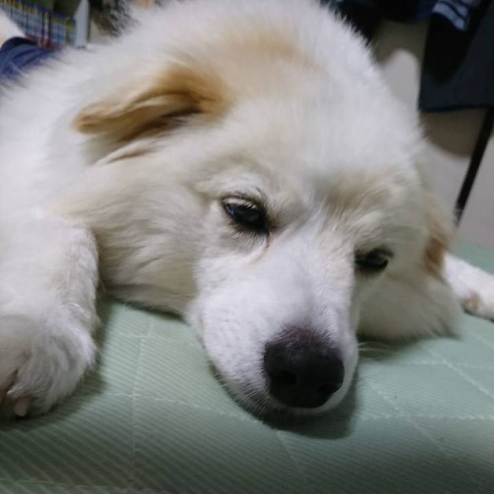 E850867a 5897 49f5 8df3 c84d142965fa