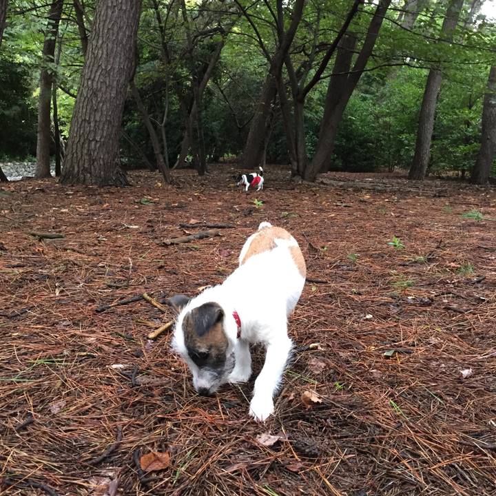 E850cb97 56f0 4427 950d f830ad8c2915