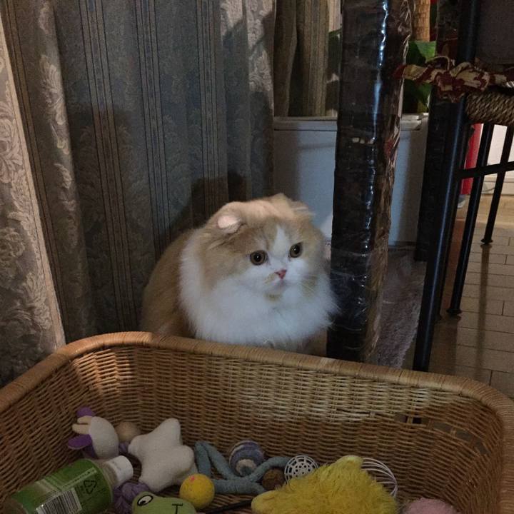 E850d8c7 e2fb 438f a8f4 1dc2cb386c75