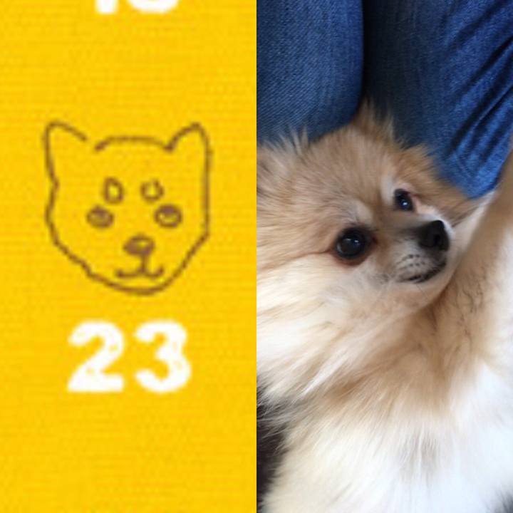 E8518db8 2876 4d29 b848 67dd9bfa92ab