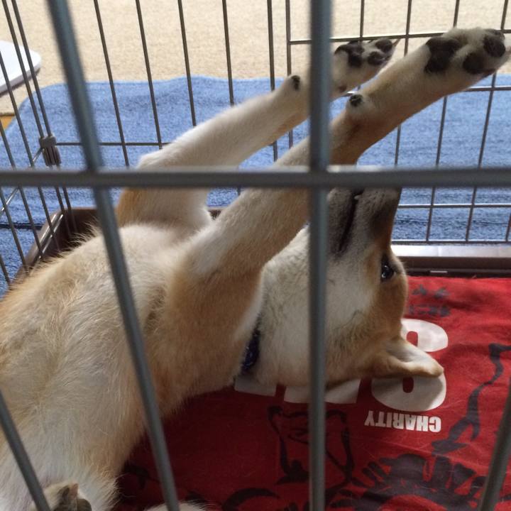 E851b776 ae21 4c9a 9713 c57eb076d3a5