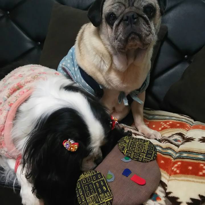 E851dbd2 65f2 4131 9ff0 79d456d42192