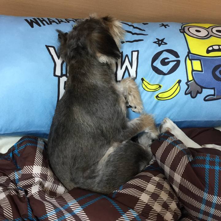 E851ea29 a8d5 4c93 adb0 0b5470c3ecce