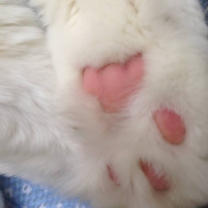 E851ec1d f36d 4970 b150 0bd94b9c8f5e