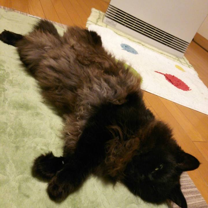 E85250f3 f0ff 481c 953d d91808156300