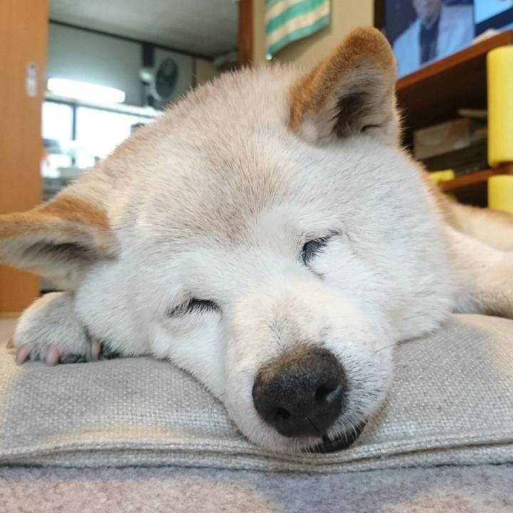 E852ba69 9d1f 44ed b769 692f6982cd7e