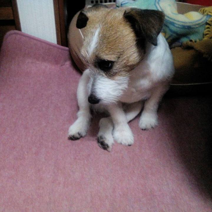 E852ef3d caed 4ffc be3d b2a62f6f8ebe