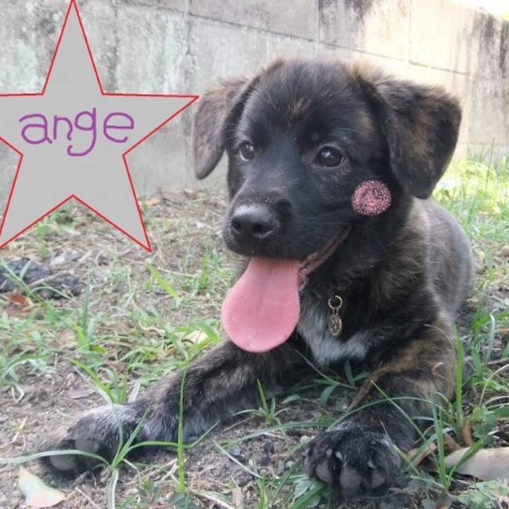 E853709a 664c 4a72 a22a 78676fa736ea