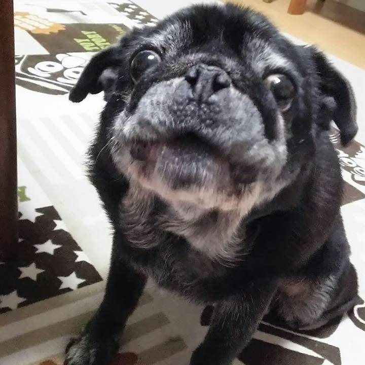 E85372aa bce7 4362 9ec2 f4fc234f7ae6