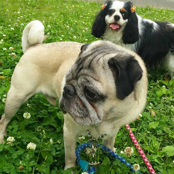 E853dacb c668 4f3a ba62 051f62e8fc9d