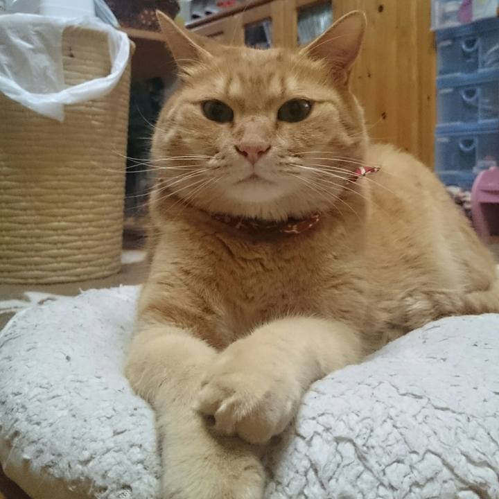 E853efce 2dc3 4e09 837a 282deeaf74e1