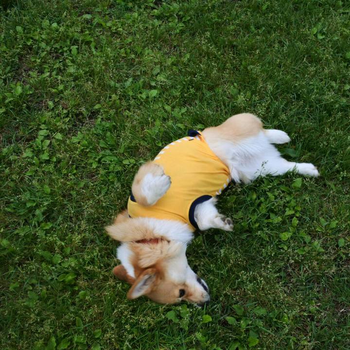 E85420f3 080c 4694 a979 20064171bd6f