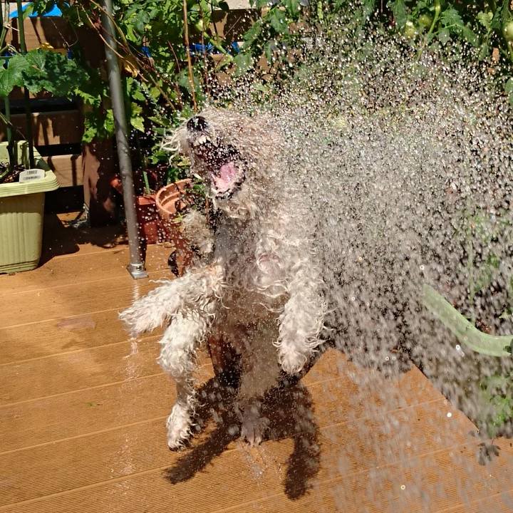 E8552f3d 9dcc 40f6 9cbe 2fb7dbf9bbbc