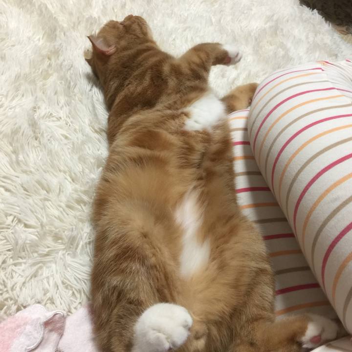 E8559742 469b 4a6d 94ea 6ba0d4e20c7e