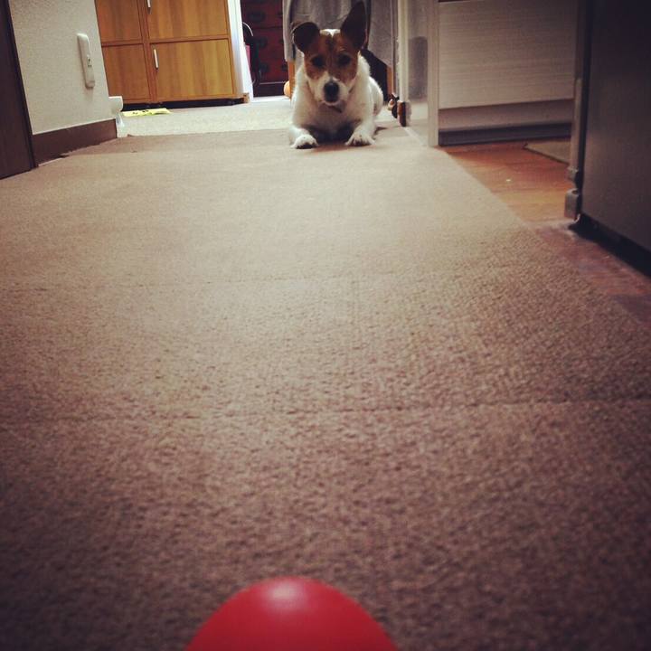 E8563224 e8f7 44f4 b1ee 13c9b7fbf2b7