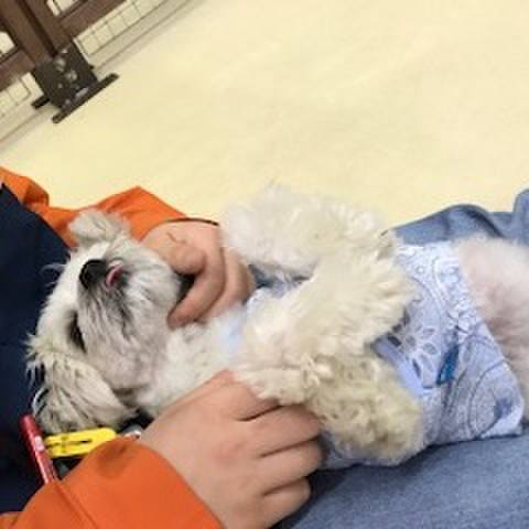 E8567ddc 9eba 442e 8a0b 16a21fee3e24