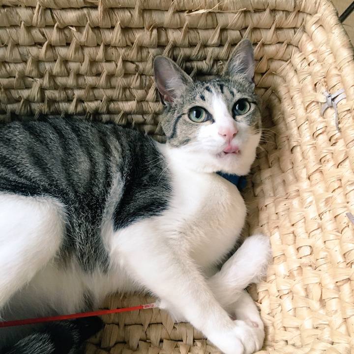 E856aa6b 7282 44b8 a25c 20fe09fbddf8