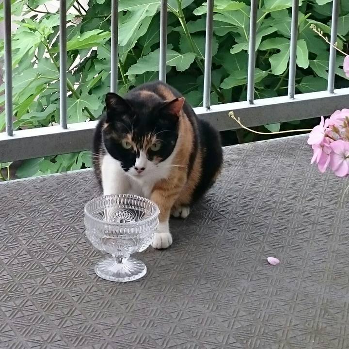 E8571e6e 317b 4600 bcbf 98b90644226d